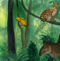 Girl Running through the Rain Forest with animals